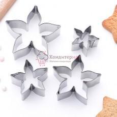 Набор форм для вырезания 4 шт "Лепестки ро...