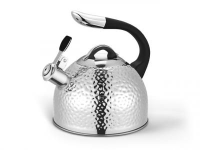 5967 FISSMAN Чайник для кипячения воды ANITA 2,5л (нерж.сталь)