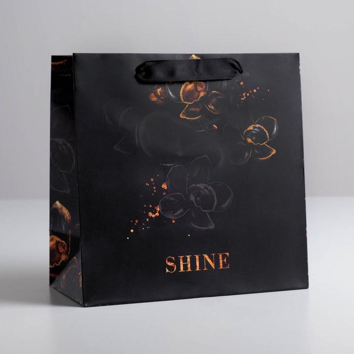 Пакет ламинированный квадратный Shine, 22 × 22 × 11 см   5226235