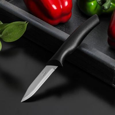 Нож "Грайм" овощной, лезвие 7,5 см, ц...