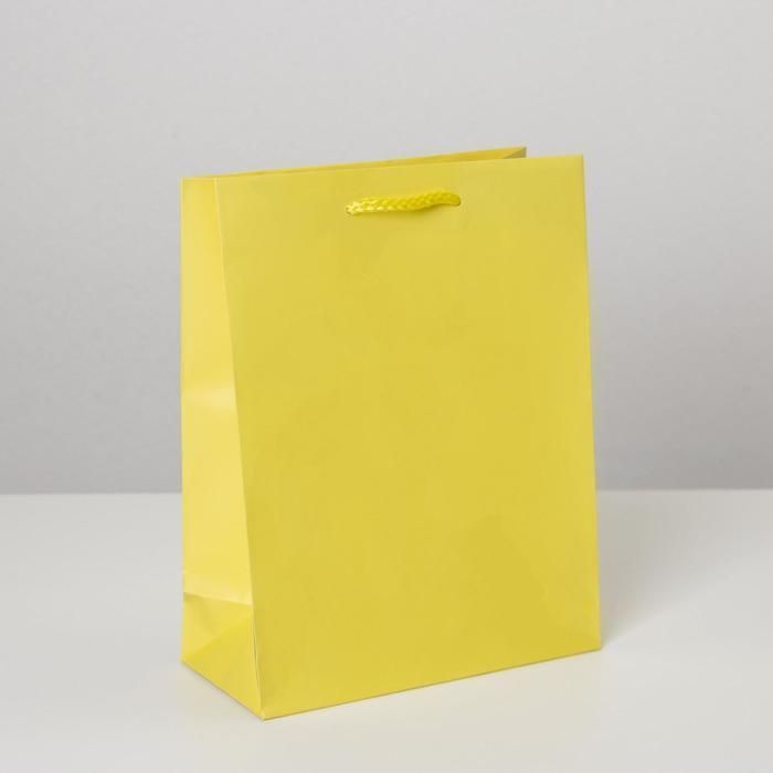 Пакет ламинированный «Жёлтый», MS 18 х 23 х 8 см   6582779