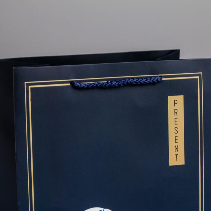 Пакет ламинированный вертикальный Present, MS 18 × 23 × 10 см   4733800