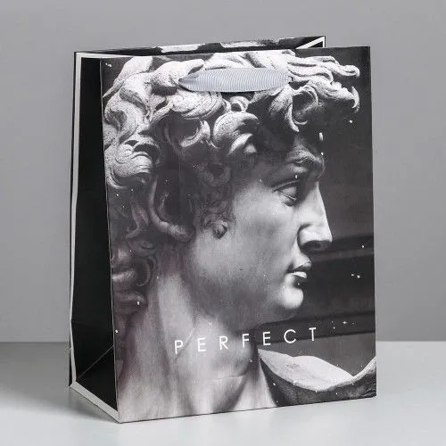 Пакет ламинированный вертикальный Perfect, MS 18 × 23 × 10 см   4725238