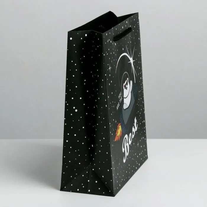 Пакет ламинированный вертикальный «Космос ждет», MS 18 × 23 × 8 см