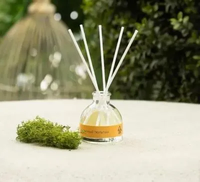 #АР 100-332 Ароматический Диффузор Hygge Бархат...