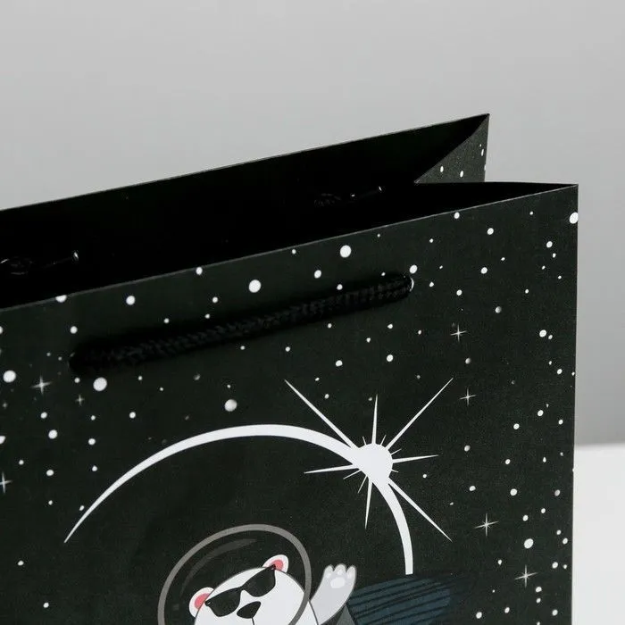 Пакет ламинированный вертикальный «Космос ждет», MS 18 × 23 × 8 см